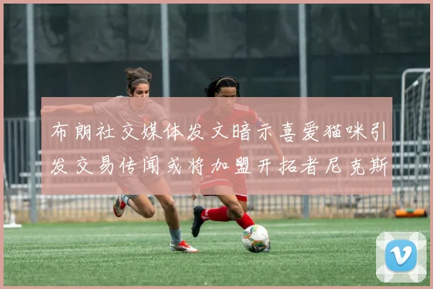 布朗社交媒体发文暗示喜爱猫咪引发交易传闻或将加盟开拓者尼克斯雷霆湖人